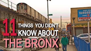 11 Things You Didnt Know About THE BRONX [upl. by Kere112]