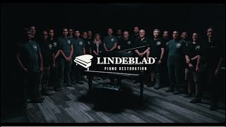 Introduction to Lindeblad Piano Restoration [upl. by Anawat]