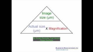 How to calculate magnification [upl. by Faustina343]