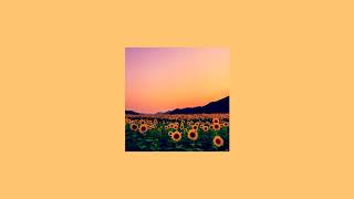 Rex Orange County  Sunflower  slowed [upl. by Lotson884]