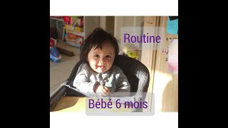 Routine bébé 6 mois repas et rythme [upl. by Olracnaig]