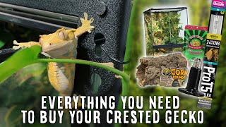 Beginners Guide To Crested Gecko Supplies  Tank Heater Light Substrate amp More [upl. by Lauhsoj]