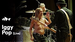 Iggy Pop  quotI Wanna Be Your Dogquot  Live at Sydney Opera House [upl. by Nivahb]