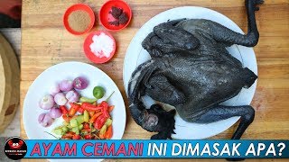 CARA MENGOLAH AYAM CEMANI YANG HITAM MENJADI MAKANAN LEZAT ENAK amp BERKHASIAT [upl. by Enirehtahc]