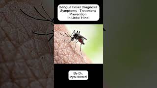 Dengue Fever  Symptoms  Diagnosis  Treatment  PreventionIn Urdu Hindi [upl. by Teferi795]