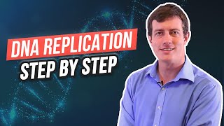 6 Steps of DNA Replication [upl. by Tiedeman]