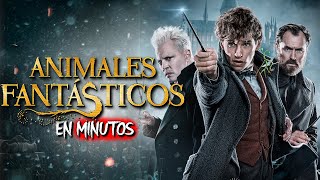 ANIMALES FANTASTICOS Parte 1 y 2 RESUMEN EN 20 MINUTOS [upl. by Aihseya]