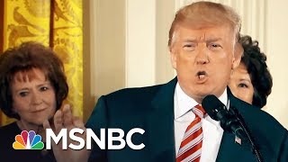 All Of President Donald Trumps Lies  The Last Word  MSNBC [upl. by Tempest]