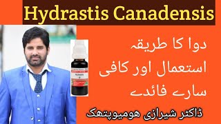 Hydrastis Can q Uses Homeopathic Medicine Hydrastis q Benefits  Dr Sherazi Homeopathic [upl. by Arrol]