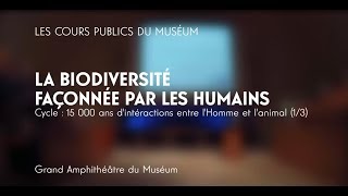 Hommeanimal  La biodiversité façonnée par les humains [upl. by Oirasec892]