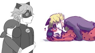 quotMarichat AUquot  Miraculous Ladybug Comic Dub [upl. by Haeli]