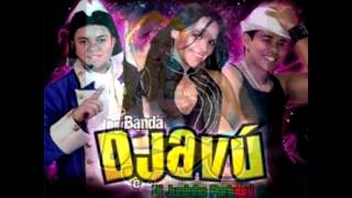 BANDA DJAVU  gatinho bonitinho [upl. by Gaw]