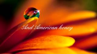 American Honey Lady Antebellum With Lyrics [upl. by Engvall405]