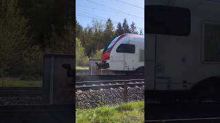 Züge filmen bei Buchs Rupperswil im Kanton Aargau [upl. by Ameerak307]