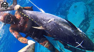 PESCASUB TONNO Gigante Pesca al Dentice Giant BLUEFIN TUNA SPEARFISHING 2024 [upl. by Anse688]