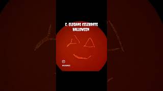 C elegans celebrate Halloween [upl. by Sink]