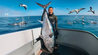 Extreme Spearfishing GIANT Tuna Bigger Than Me [upl. by Valeta]