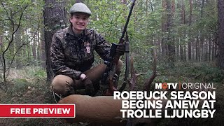 Roebuck Season Begins Anew at Trolle Ljungby Series 1  An MOTV Original [upl. by Eenat]