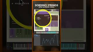 SORDINO STRINGS  Blending Articulations [upl. by Mccarty]