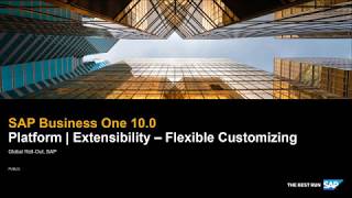 SAP Business One 100 Platform and Extensibility  Flexible Customizing [upl. by Pickar898]