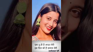 Mera Sanam Sabse Pyara Hai  Lyrical Dil Ka Kya Kasoor  Asha BhosleKumar Sanu  love song [upl. by Nnylrefinnej]