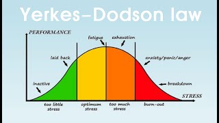 Short Story YerkesDodson law  It also works between pay and performance [upl. by Croteau]