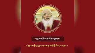 Kyabje Chatral Sangye Dorje Rinpoche teachings tibetan buddhism [upl. by Ettevy]