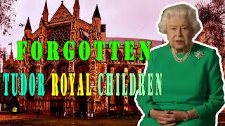 Forgotten TUDOR ROYAL Children at Westminster Abbey  History Story [upl. by Abraham]