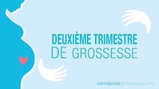 Deuxième Trimestre de Grossesse  La Grossesse trimestre par trimestre [upl. by Reid530]