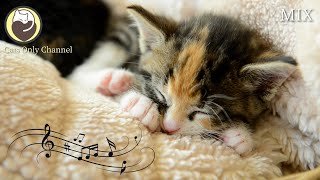 Soothing Music for Cats with cat purring sounds  Anxiety and Stress Relief [upl. by Dielle]