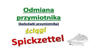 Odmiana końcówki przymiotnika  Ściąga  Niemiecki dla początkujących 12 [upl. by Alyekahs]