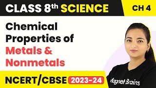 Chemical Properties of Metals and Nonmetals with Oxygen  Class 8 Science [upl. by Benioff]