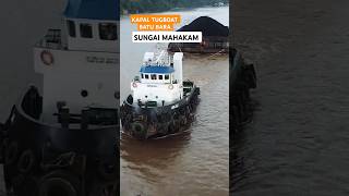 Kapal Tongkang berisi muatan batubara Mahakam [upl. by Nosde]