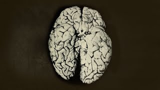 A Scientist Spilled 2 Drops Organic Mercury On Her Hand This Is What Happened To Her Brain [upl. by Mohr413]