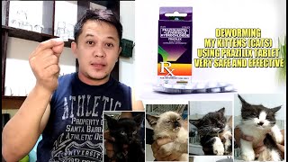 DEWORMING MY KITTENS CATS USING PRAZILIX TABLET  VERY SAFE AND EFFECTIVE [upl. by Chobot237]