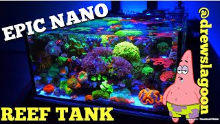 Epic Nano Reef Tank drewslagoon [upl. by Oludoet]