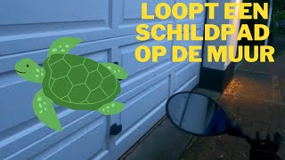 Er loopt een schildpad op de muur 633 [upl. by Jorry]