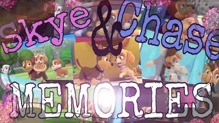 Skye amp Chase Memories  Paw Patrol [upl. by Hurd]