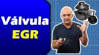 Válvula EGR Como Testar e Funcionamento OragioResponde [upl. by Hu]