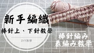 How to Do a Purl Stitch  棒針上下針基礎教學簡單圍巾編織 [upl. by Sholem]