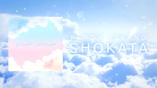 Panda Island  Shokata Official Lyric Video [upl. by Suivatnom]