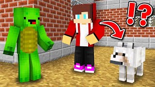 Minecraft pero me Transformo a CADA MINUTO [upl. by Malinde]