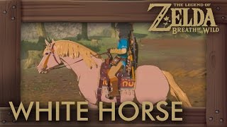 Zelda Breath of the Wild  White Horse Location Zeldas Horse [upl. by Remot]