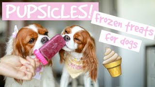 DIY POPSICLES FROZEN DOG TREATS  Easy and Healthy  Herky Eats [upl. by Blancha]