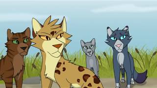 Leave the Riches  Leopardstar MAP  Pt 13 [upl. by Nyrol11]