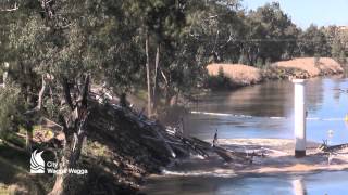 Induced collapse of the Hampden Bridge Wagga Wagga [upl. by Oirtemed]