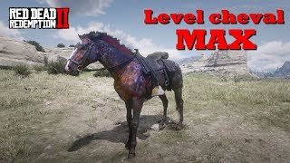 Améliorer son cheval au MAX   Red Dead Redemption 2 [upl. by Mcnair]