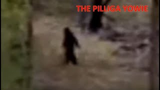 The Pilliga Yowie  Baan Baa Water Supply [upl. by Bently889]