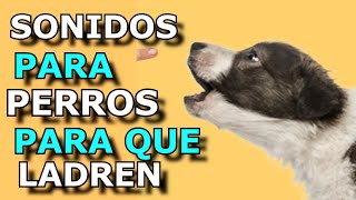 Sonido de Perro 🐶 🐶 Los mejores LADRIDOS DE PERROS 🐶 [upl. by Arac583]