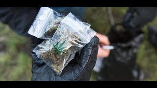 Kiffen in Berlin Im Görlitzer Park ist Cannabis wieder legal [upl. by Jimmie]